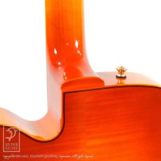 Sadowsky The Jim Hall Model (VLB)_14