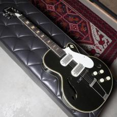 Silvertone Model 1427 Espanada