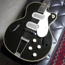 Silvertone Model 1427 Espanada_2