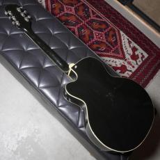 Silvertone Model 1427 Espanada_4