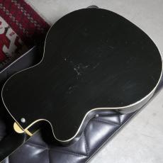 Silvertone Model 1427 Espanada_5