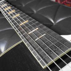 Silvertone Model 1427 Espanada_6