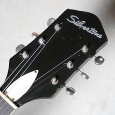 Silvertone Model 1427 Espanada_8