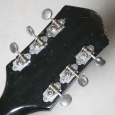 Silvertone Model 1427 Espanada_9