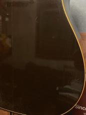 Gibson J-45 Western 100th_13