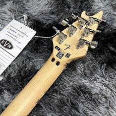 EVH Wolfgang Special Pelham Green【特価】【生産完了カラー】_6