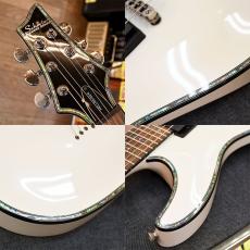 SCHECTER AD-C-1-HR HELLRAISER C-1_4