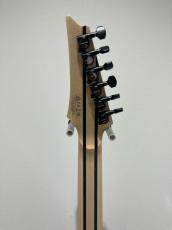 Ibanez RG8620AH_8