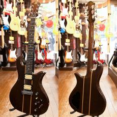 Aria Pro II EG-1200_2