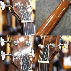 Aria Pro II EG-1200_4
