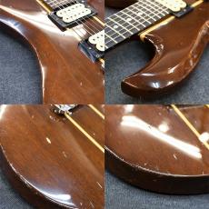 Aria Pro II EG-1200_5