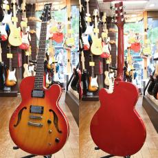 Ibanez YAC50_2