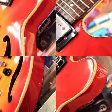 Ibanez YAC50_5