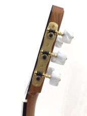 ASTURIAS CUSTOM/C (640)_10