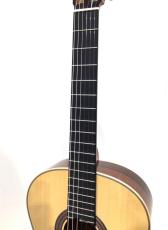 ASTURIAS TSUJI SUPREMA H_5
