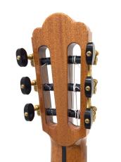 ASTURIAS TSUJI SUPREMA H_8