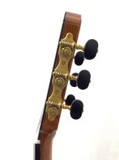 ASTURIAS TSUJI SUPREMA H_11