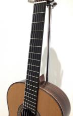ASTURIAS CUSTOM C(650)_4