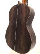 ASTURIAS CUSTOM C(650)_5