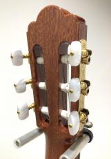 ASTURIAS CUSTOM C(650)_6