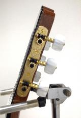 ASTURIAS CUSTOM C(650)_8