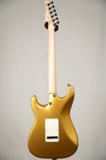 TOM ANDERSON Icon Classic -Egyptian Gold- [3.42kg]_4
