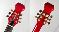 FERNANDES BT-120MM【USED】_8