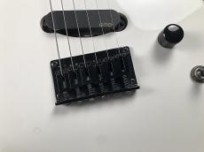FERNANDES STJ-80BT【USED】_6
