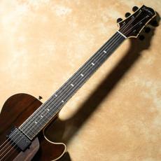 Sadowsky Archtop Series SS-15 Limited Custom Jacalanda Venner Top_3