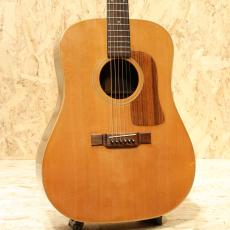 Washburn D-62SW 1980s