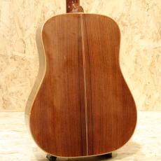 Washburn D-62SW 1980s_2