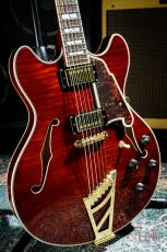 D'Angelico Excel DC Stairstep Viola_3