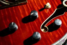 D'Angelico Excel DC Stairstep Viola_8