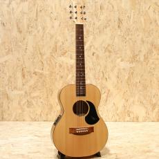 Maton EM-6 "Mini Maton" 2010's_3