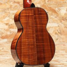 Kamaka HF-2 D2I Concert 2020_2
