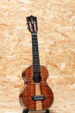 Kamaka HF-2 D2I Concert 2020_3