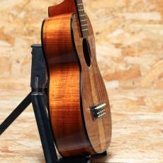 Kamaka HF-2 D2I Concert 2020_4