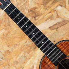 Kamaka HF-2 D2I Concert 2020_6