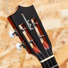 Kamaka HF-2 D2I Concert 2020_8