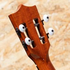 Kamaka HF-2 D2I Concert 2020_9