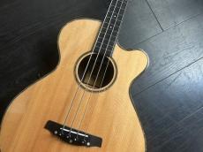 Crews Maniac Sound EB-2400 C　Limited　Ziricote　極上コンディション　eb2400c_3