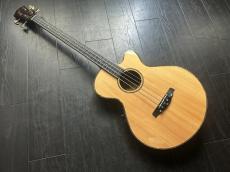 Crews Maniac Sound EB-2400 C　Limited　Ziricote　極上コンディション　eb2400c_5