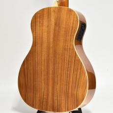 DCT FR-205KE 【決算セール ～8/31(日)まで】【ニューヨーカータイプ】【オールコアボディ】【エレアコ仕様】_2