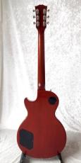 Gibson Les Paul Standard Limited Edition_3