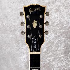 Gibson Les Paul Standard Limited Edition_4