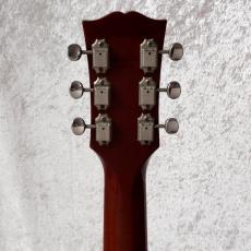 Gibson Les Paul Standard Limited Edition_5