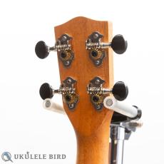 Pono MGC-K Concert_6