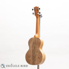 Pono MGC-K Concert_11
