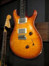 Paul Reed Smith [PRS] Experience 2010 Special Stock Custom 24 Matteo Mist_3