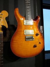 Paul Reed Smith [PRS] Experience 2010 Special Stock Custom 24 Matteo Mist_4